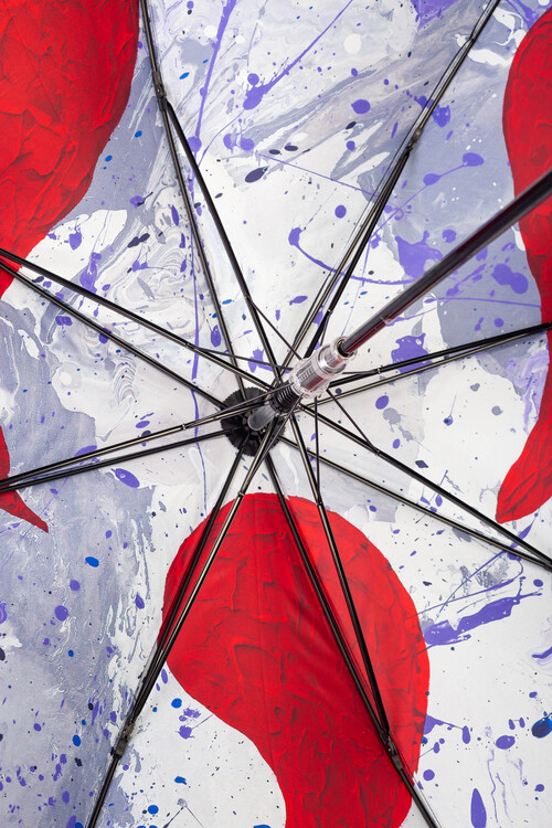 Зонт-трость c чёрным куполом и картиной «Финансовое благополучие» внутри